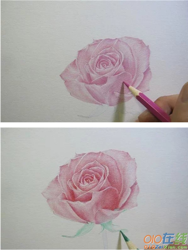 素描玫瑰的画法步骤图