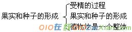 七年级生物教案：果实和种子的形成