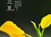 農業相關的諺語大全