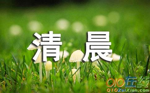 清晨阳光美丽的说说