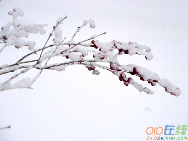 初雪的浪漫爱情说说