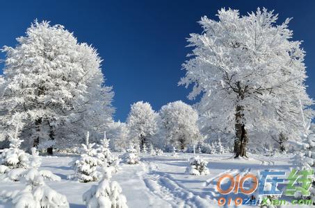 初雪的浪漫爱情说说