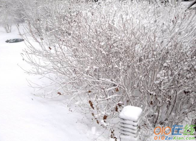 初雪的浪漫爱情说说