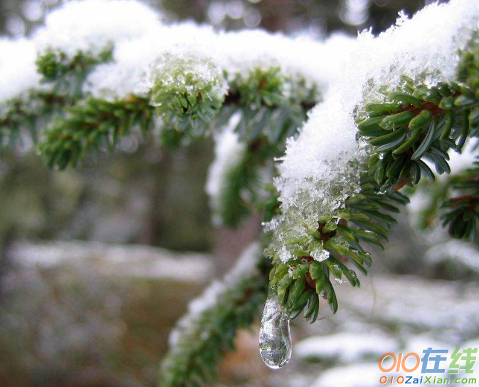 初雪的浪漫爱情说说