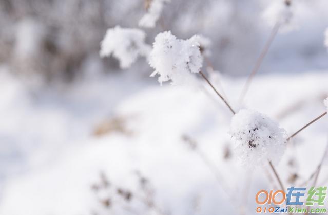 如何写雪景作文的方法