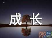 友誼伴隨我成長小學作文