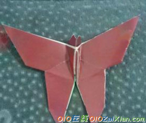 蝴蝶简单的折法图解
