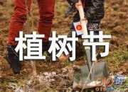植樹節的手抄報怎么寫