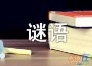 謎底為花的謎語
