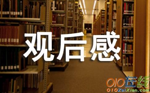 你的名字新海诚观后感「荐」