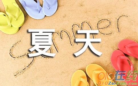 欢乐的夏天作文100字