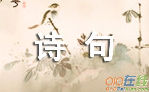 表达相思的诗句