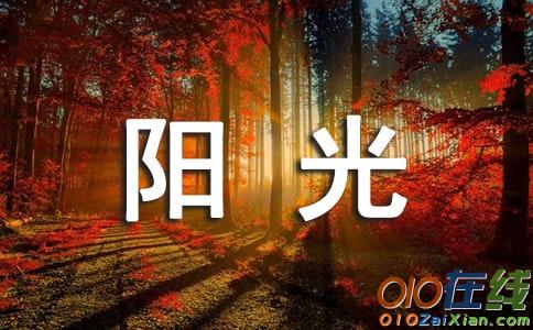 寻找生命的阳光作文1500字