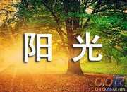 陽光小清新簡短句子