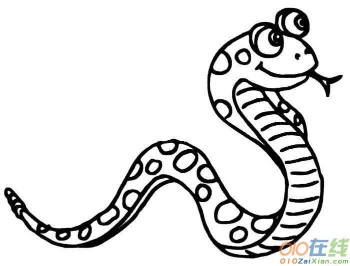 蛇的卡通简笔图片