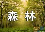 有關(guān)森林防火的宣傳標(biāo)語