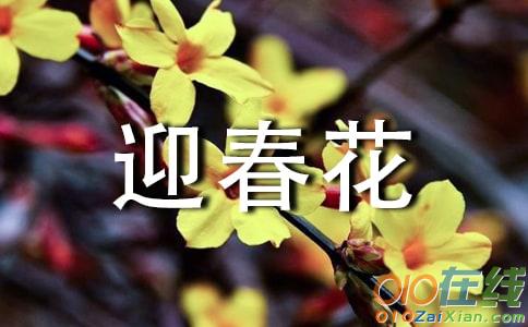 迎春花开了的拟人句