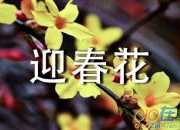 關于迎春花開了的擬人句