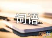 表示看的4字詞語