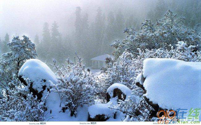 与雪的谚语