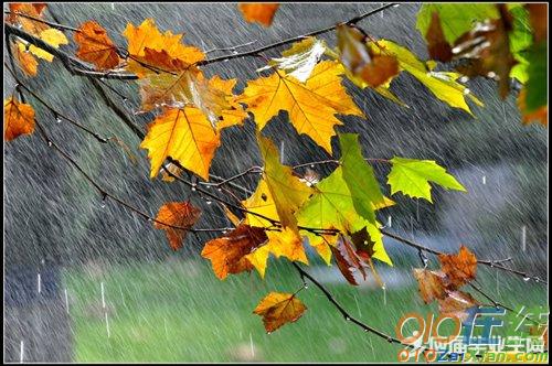 今夜江南雨散文诗