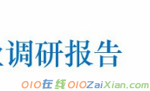 调研报告包括哪些内容