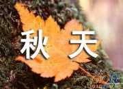 秋天的四字詞語有哪些