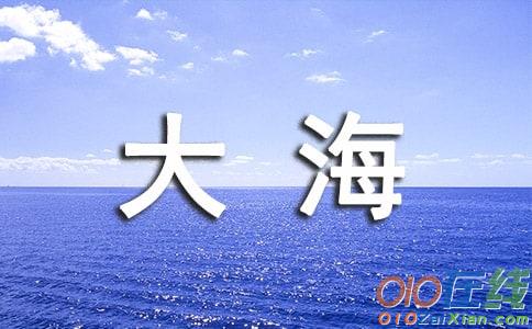 张羽发新歌《思念大海》歌词