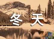 詩歌欣賞《冬天的堅強》