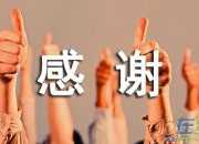 感謝你的對手作文500字
