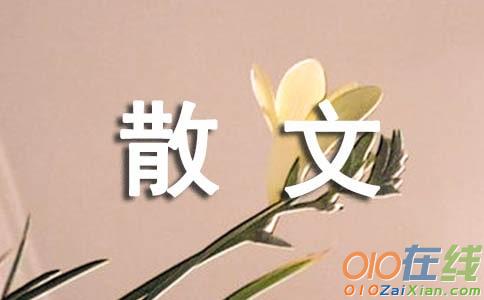 岁月的凝香散文