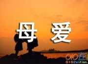母愛是什么的優美排比句