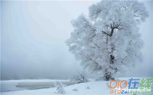 写雪花的诗句有哪些