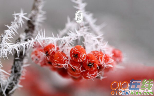 写雪花的诗句有哪些