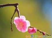 現(xiàn)代詩歌(三首)
