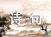關于明月的抒情詩句