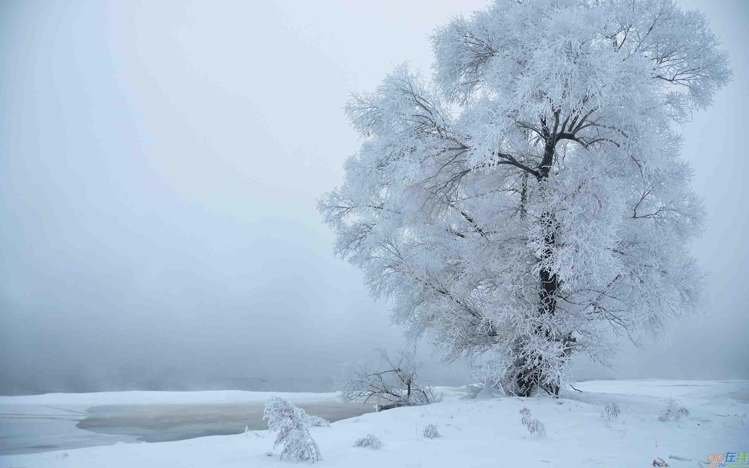 北方雪景的美文