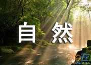 大自然的景物作文350字
