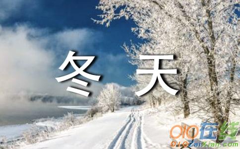 描写冬天的雪景的词语
