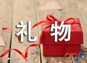 特別的禮物初中議論文