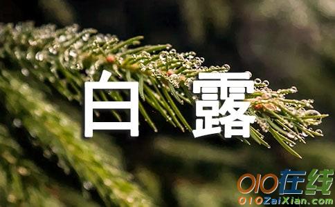 二十四节气之白露节气简介