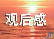 唐人街探案2觀后感范文