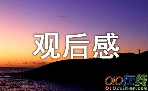 电视剧《宜昌保卫战》观后感