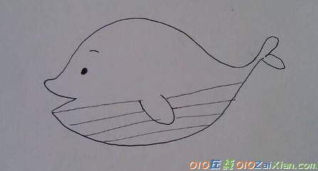 鲸鱼卡通图片简笔画