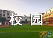 最美的校園作文
