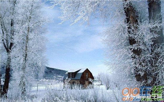 冬季作文：武汉的冬天