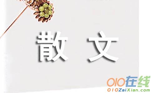 阳春三月飘雪散文