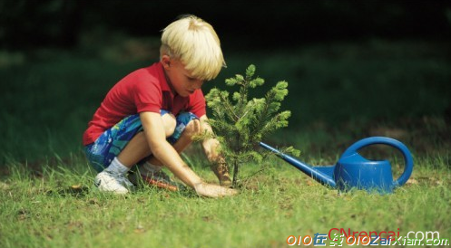 植树环保活动总结