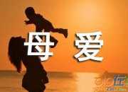 母親的目光500字作文