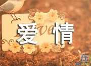 有關(guān)愛情的唯美句子